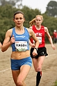 2011 BayXC-147